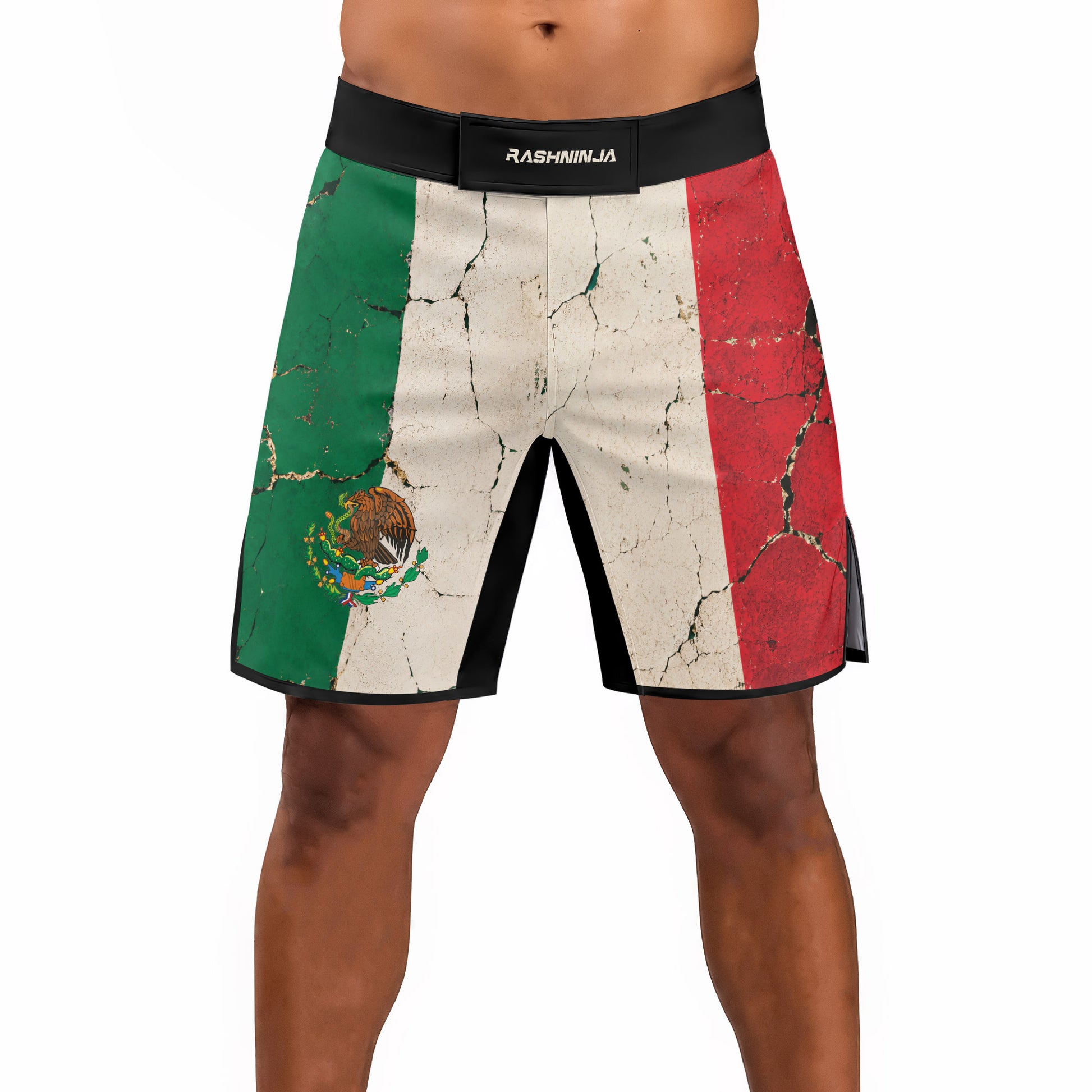Rashninja Patriot Mexico Flag Men's Fight Shorts