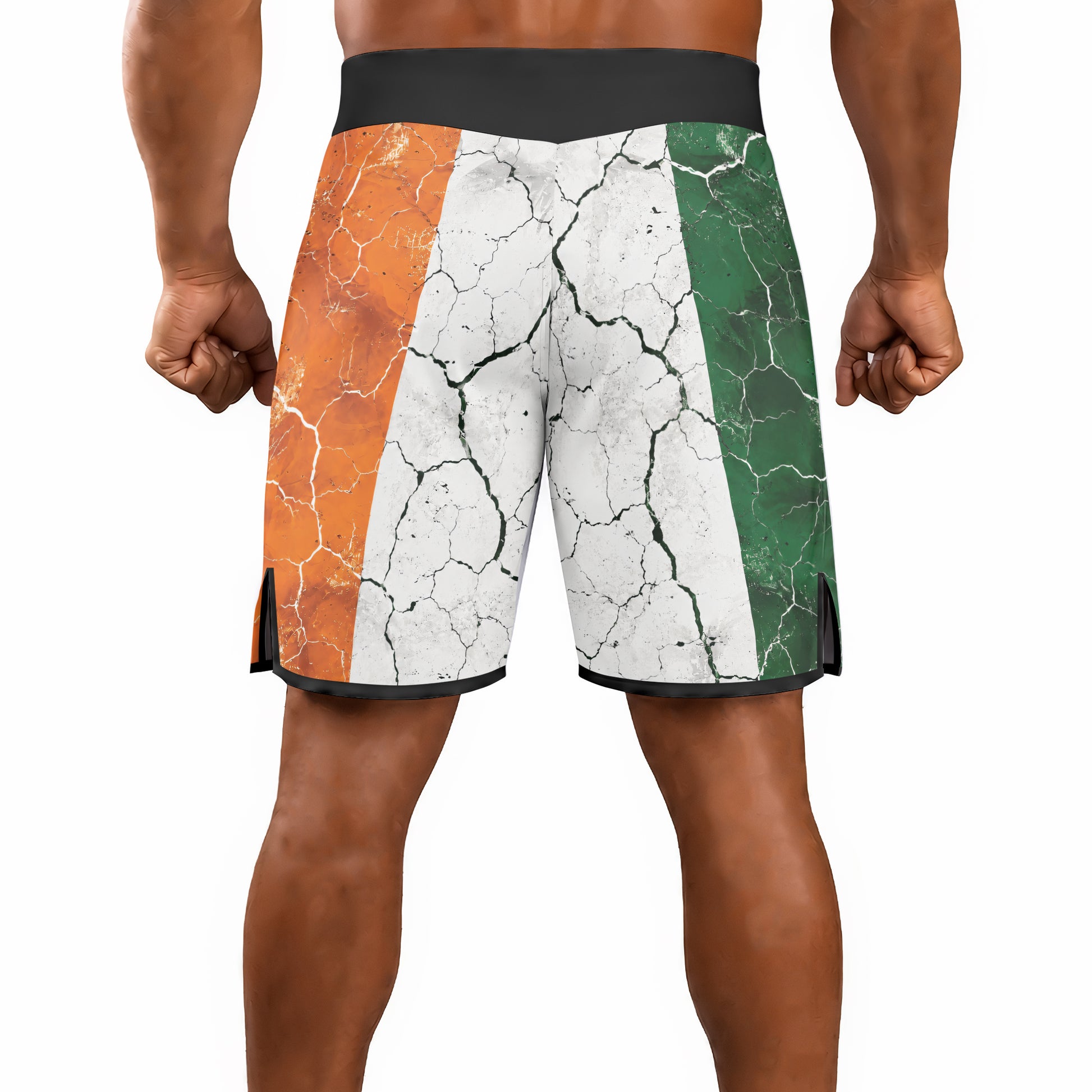 Rashninja Patriot Ireland Flag Men's Fight Shorts