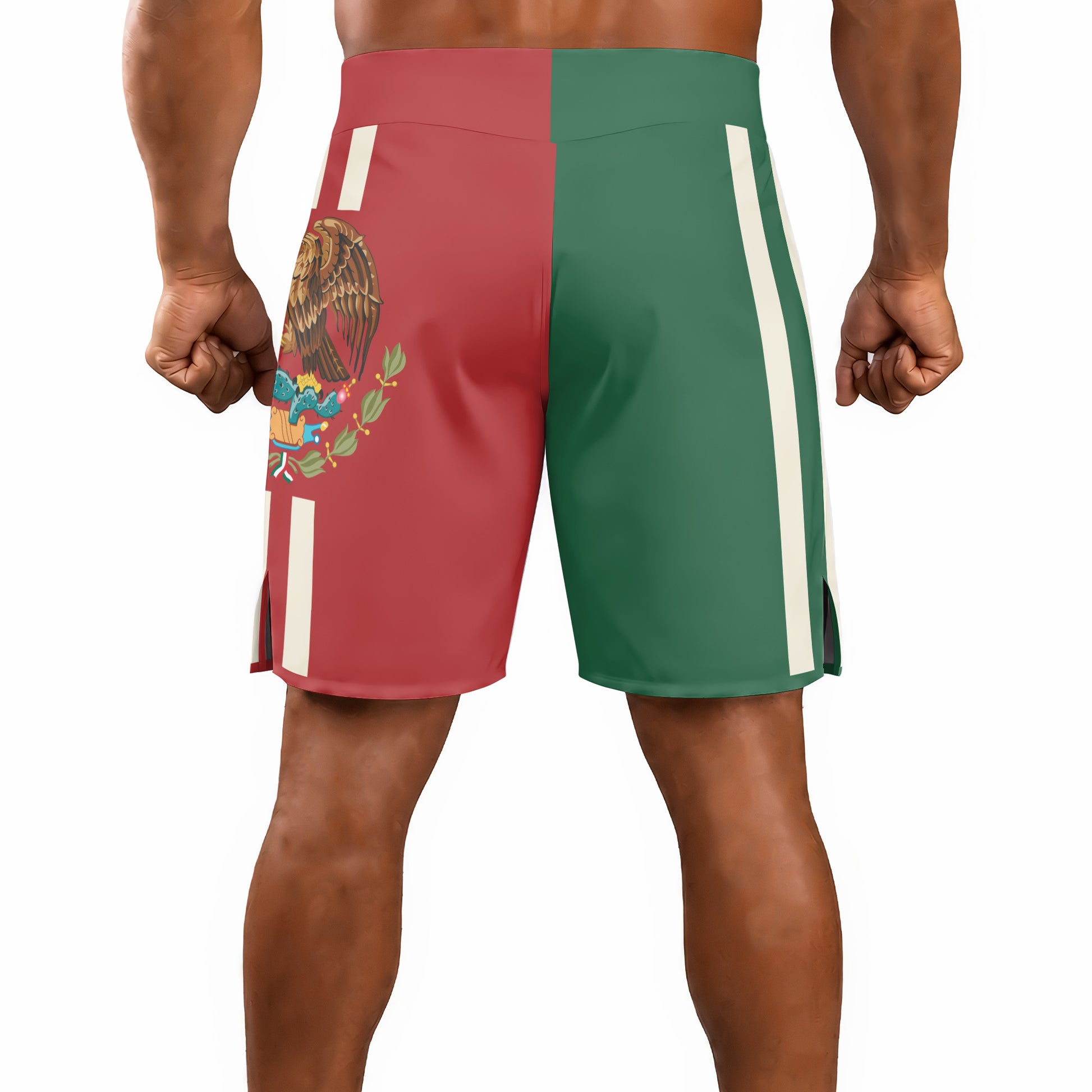 Rashninja Patriot Mexico Flag Men's Fight Shorts