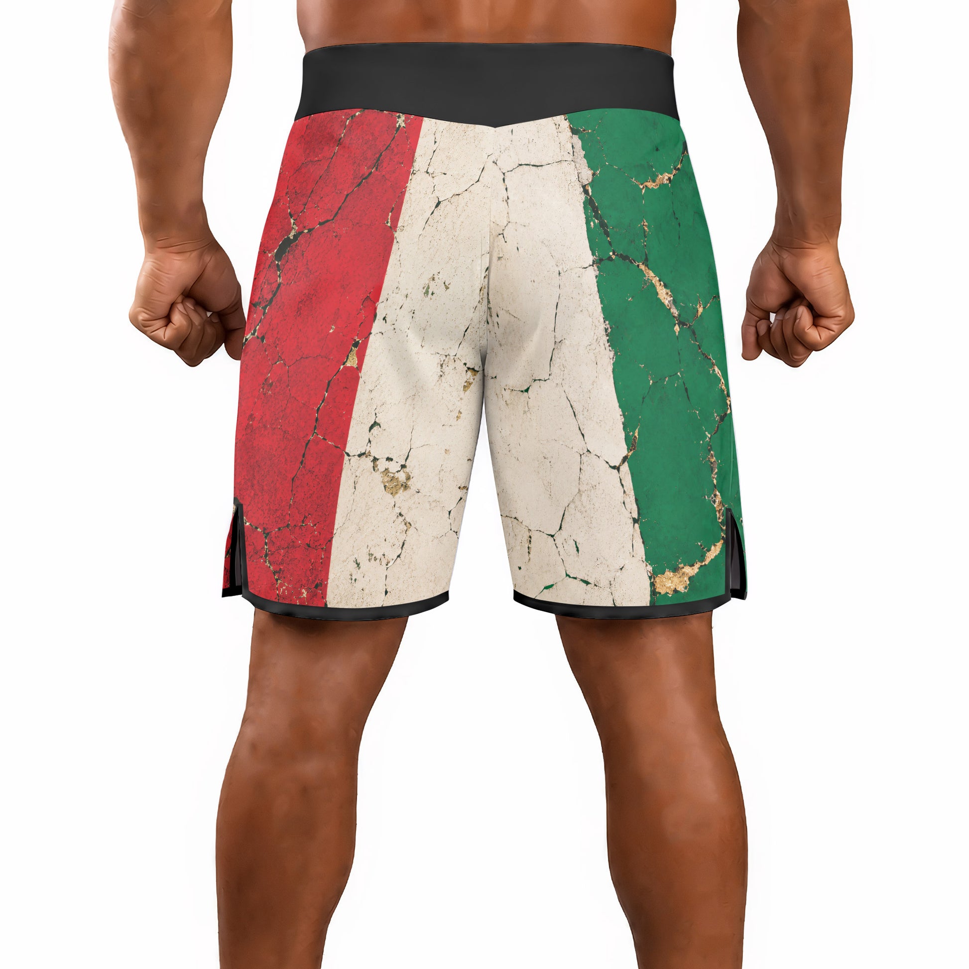 Rashninja Patriot Mexico Flag Men's Fight Shorts
