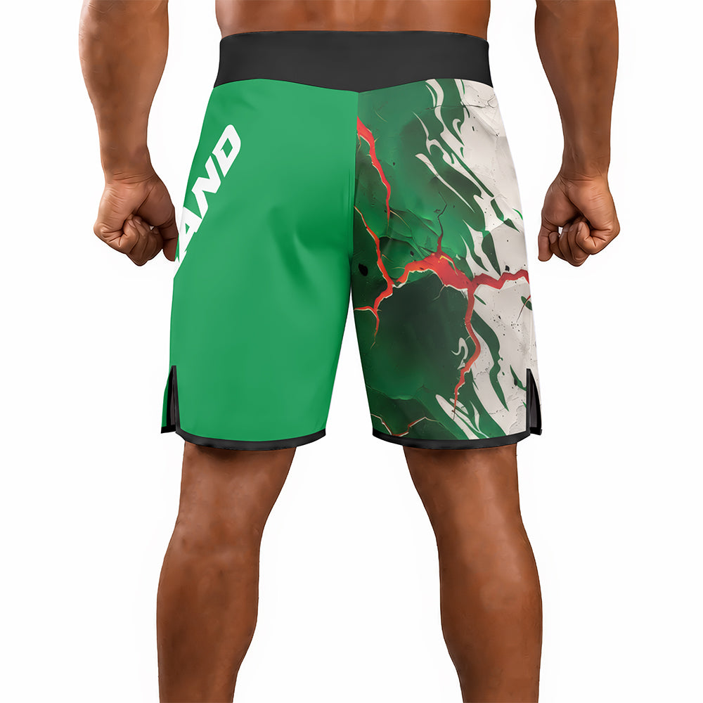 Rashninja Patriot Ireland Flag Men's Fight Shorts