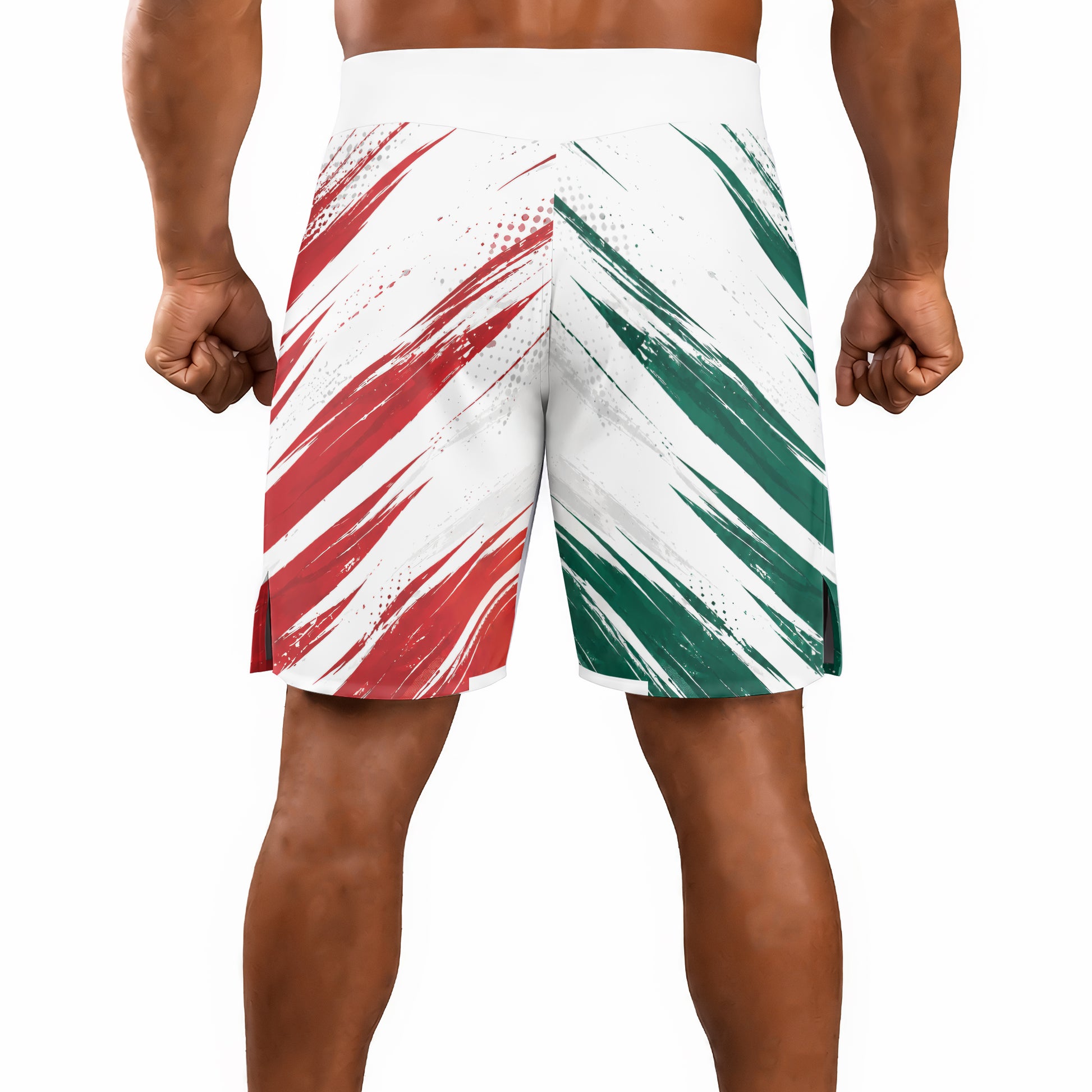 Rashninja Patriot Mexico Flag Men's Fight Shorts