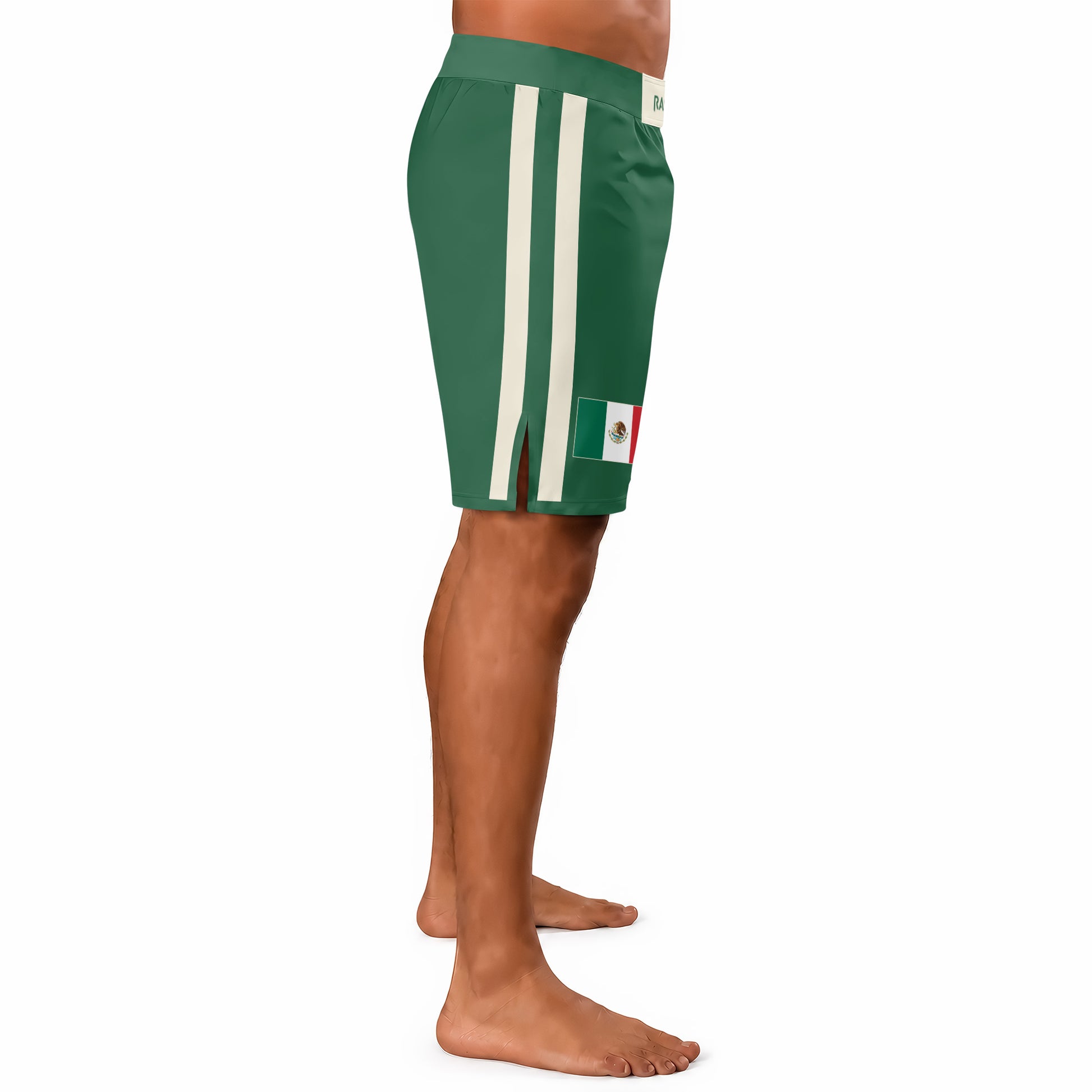 Rashninja Patriot Mexico Flag Men's Fight Shorts