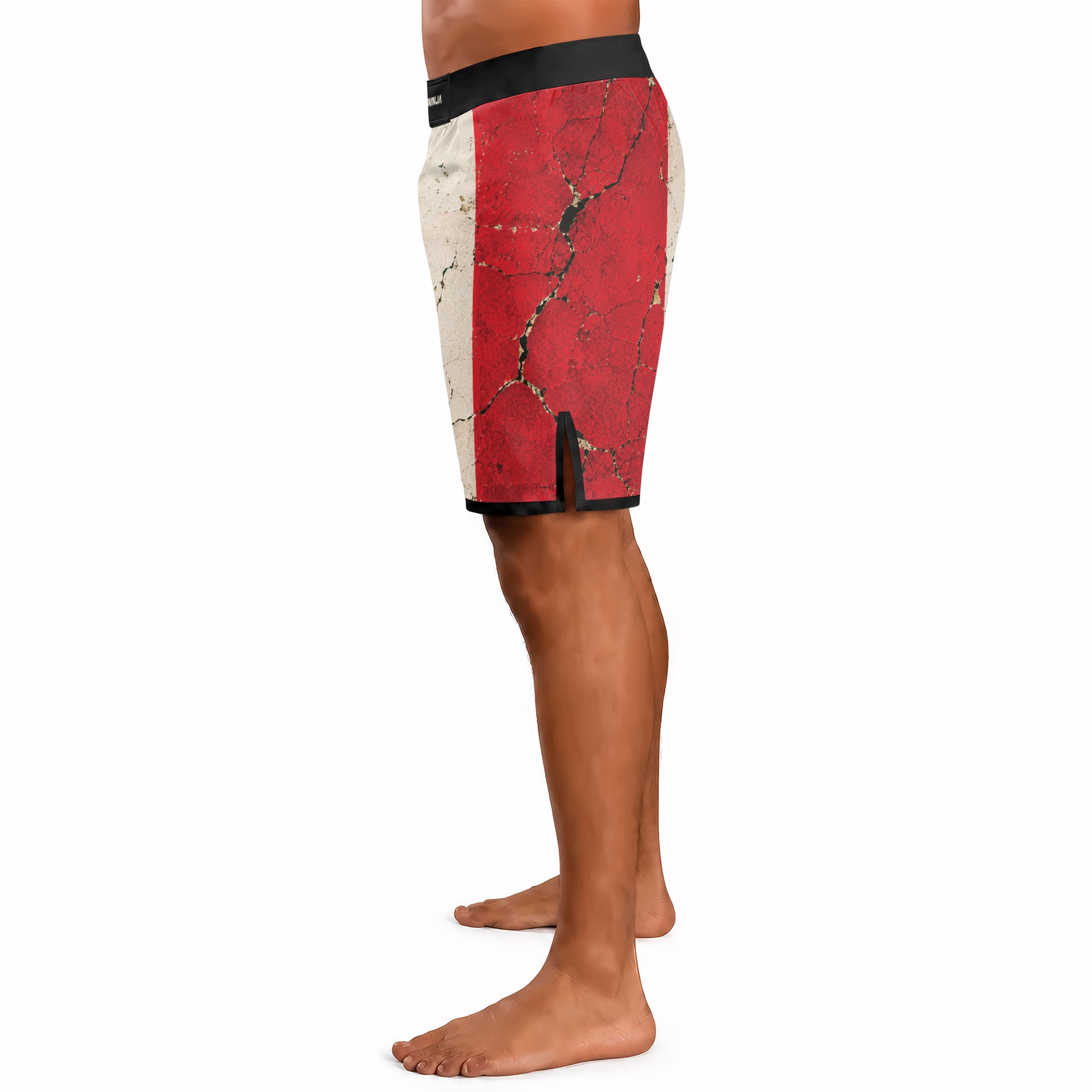 Rashninja Patriot Mexico Flag Men's Fight Shorts