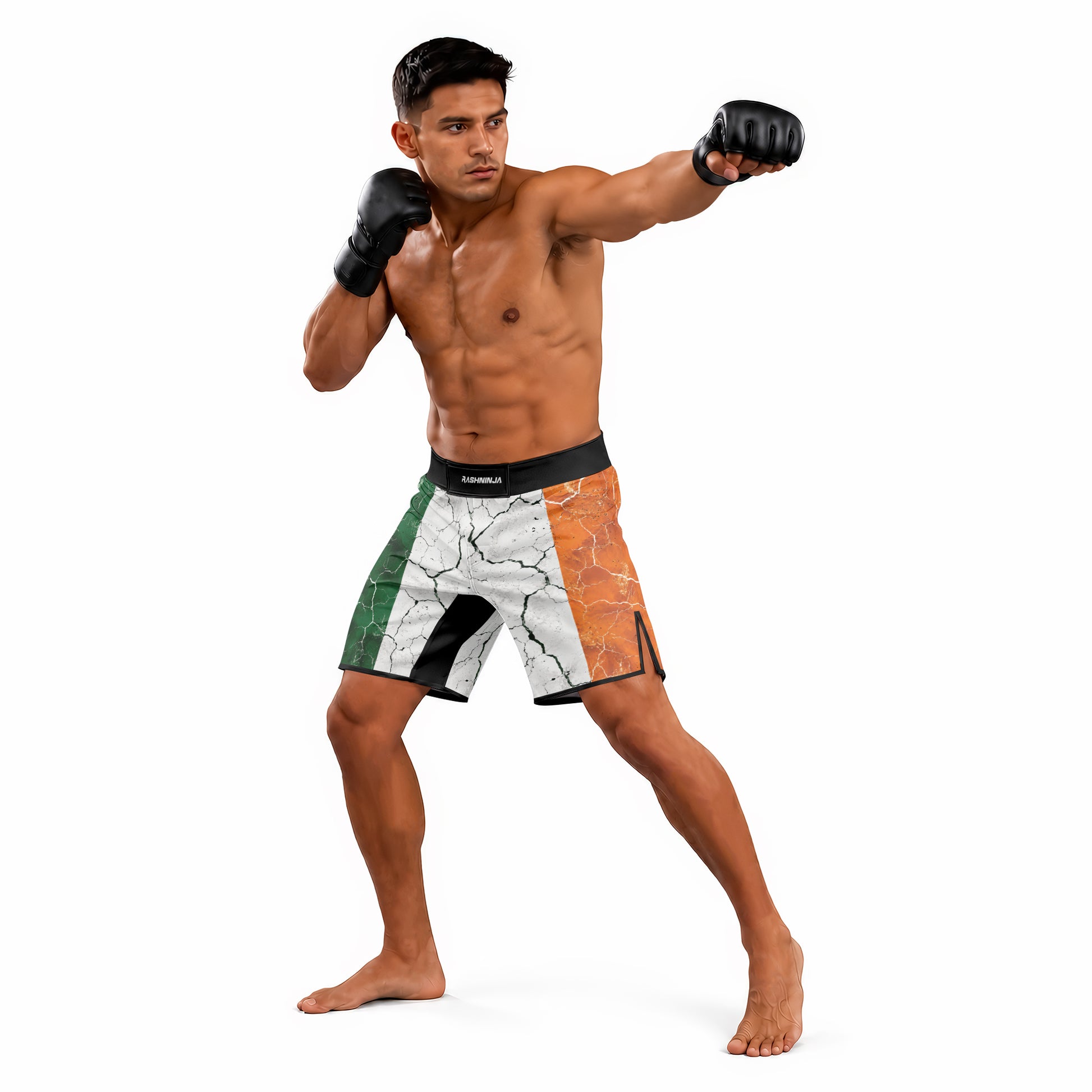 Rashninja Patriot Ireland Flag Men's Fight Shorts