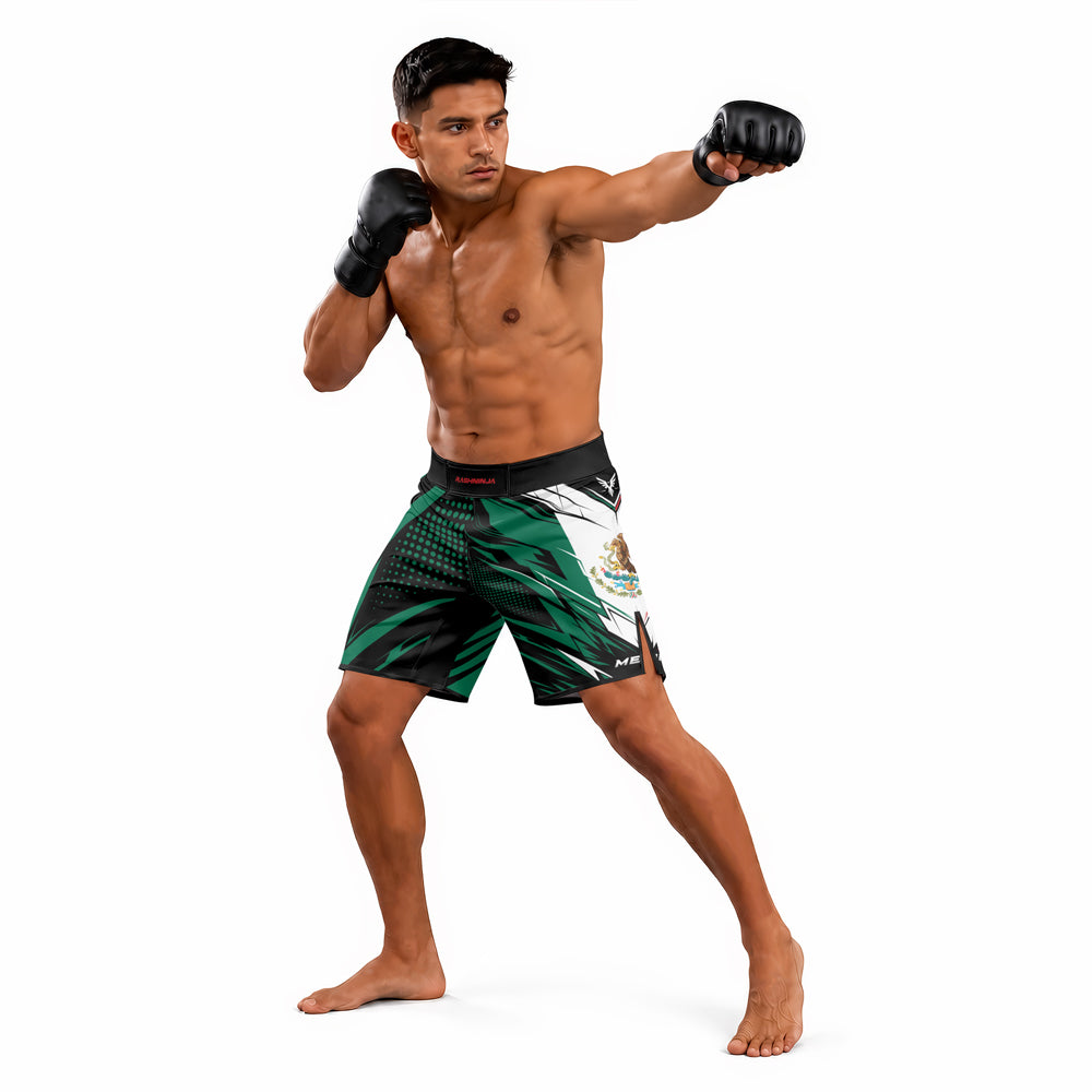 Rashninja Patriot Mexico Flag Men's Fight Shorts