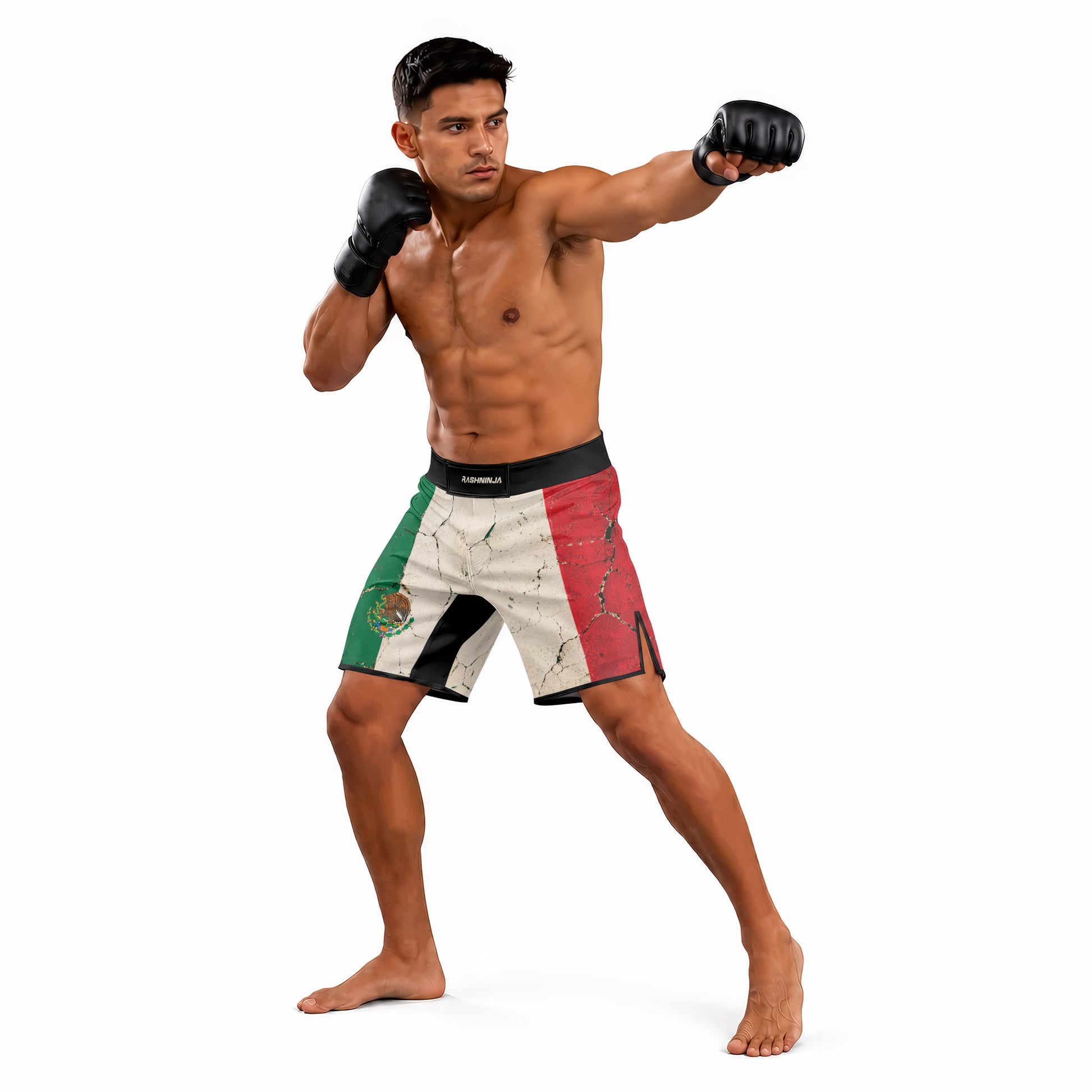 Rashninja Patriot Mexico Flag Men's Fight Shorts