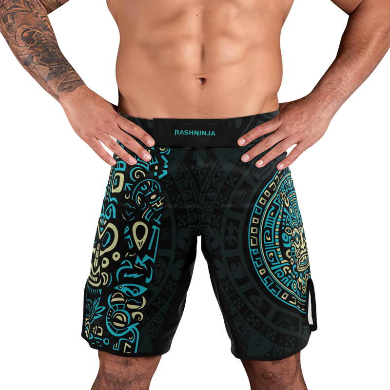 Rashninja Blue And Beige Aztec Calendar Men's Fight Shorts