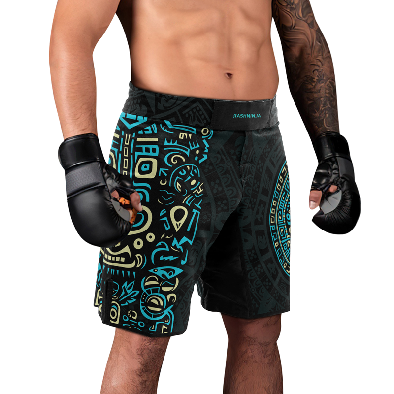 Rashninja Blue And Beige Aztec Calendar Men's Fight Shorts