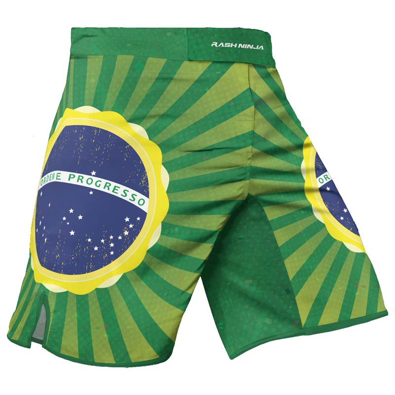 Rashninja Flag of Champions Brazilian Men's Fight Shorts