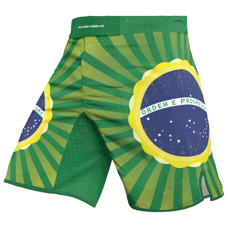 Rashninja Flag of Champions Brazilian Men's Fight Shorts