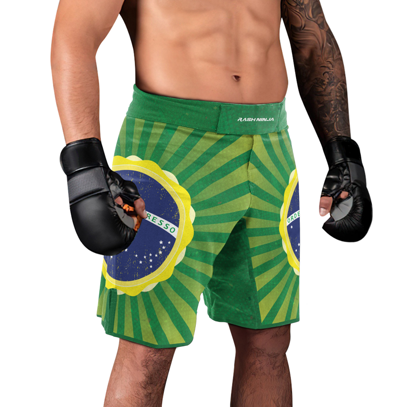 Rashninja Flag of Champions Brazilian Men's Fight Shorts