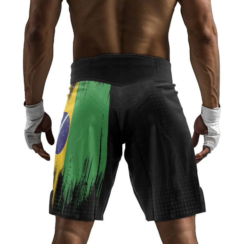 Rashninja Brazilian Champions' Flag Men's Fight Shorts