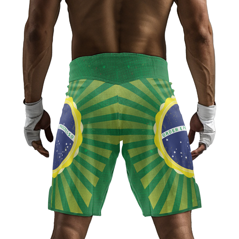 Rashninja Flag of Champions Brazilian Men's Fight Shorts