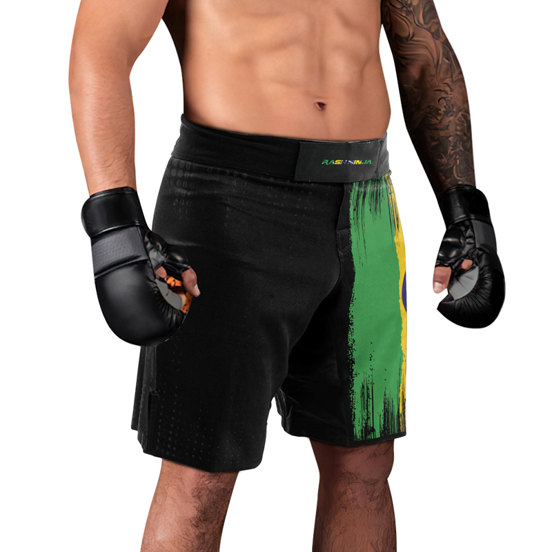 Rashninja Brazilian Champions' Flag Men's Fight Shorts