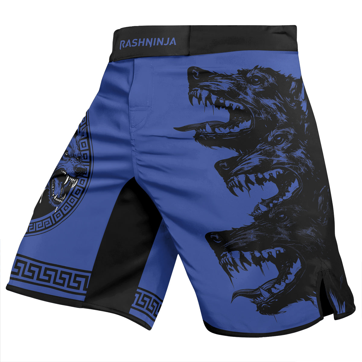 Rashninja Cyberus Men's Fight Shorts