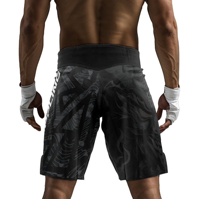 Rashninja Oni Fury Men's Fight Shorts